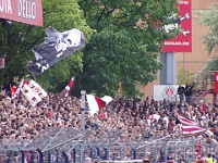 Pauli vs HSV2 05-06 021